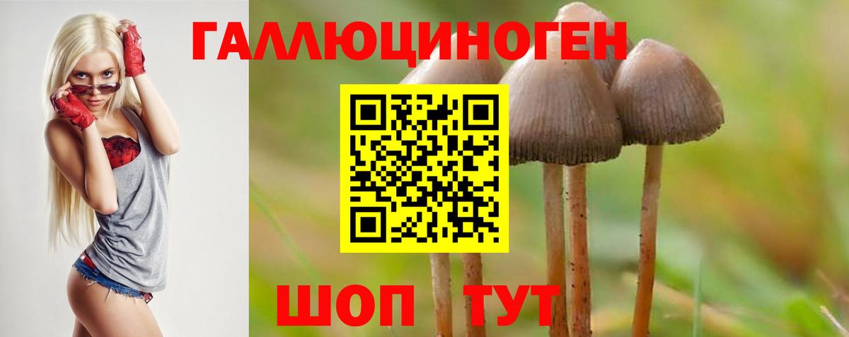 Псилоцибиновые грибы Cubensis Егорьевск
